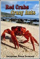  Красные крабы. Желтые муравьи / Red crabs. Crazy ants