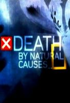  Смерть по естественным причинам - Смертельная Жара / Death by natural causes - Deadly Heat