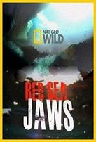  Челюсти Красного моря / Red Sea Jaws