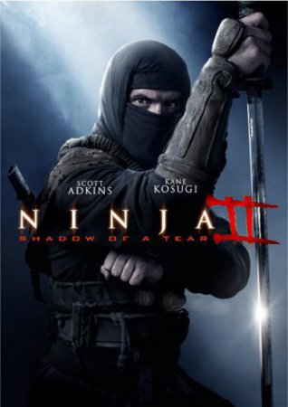 Смотреть фильм Ниндзя 2 (2013) онлайн бесплатно